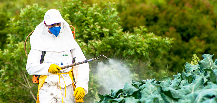 Agrochemicals & Pesticides